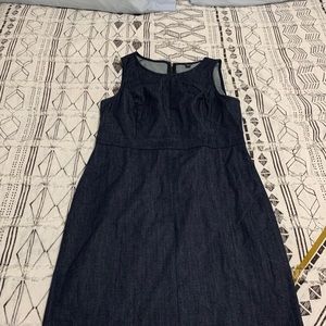 Ann Taylor Jean Dress